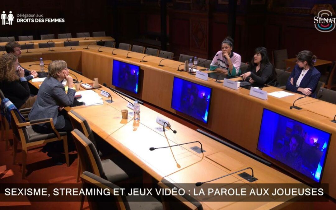 Women in Games France au Sénat : trois auditions pour faire entendre les femmes du jeu vidéo, du streaming et de l’esport